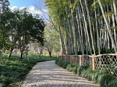-上海醉白池公园