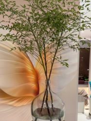 -佳颜轻医美·美学抗衰中心