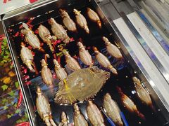 -鸭绿江海鲜烧烤大排档(杏林街店)