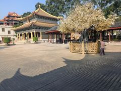 -广东圆玄道观