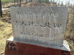 -玉田印象