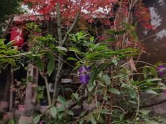 -驿舍·民國老营房院子私房菜(科学会堂店)