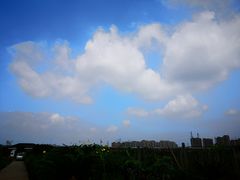-菊园百果园