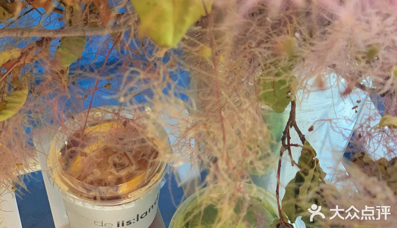 包𝐨𝐫披萨🍕❓带你探工业风咖啡厅