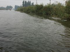 -白洋淀景区