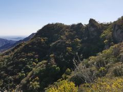 -大岭沟猕猴桃谷风景区