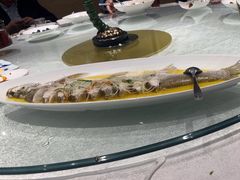 -金枝玉叶上海人家食府(三里河店)