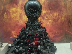 -陕西自然博物馆