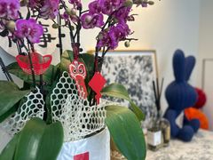 -艾蜜西餐厅(梅园店)