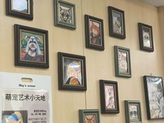 -申普宠物医院·心脏介入·心血管微创(总院)