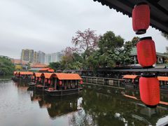 -侨美·唐荔园·40年地道粤菜