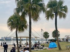 -柳湖沙月沙滩公园