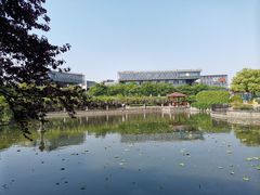 -嘉定紫藤园