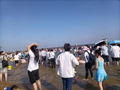 -碧海金沙