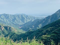 -大岭沟猕猴桃谷风景区