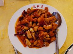 同和三黄鸡-同和居(月坛店)