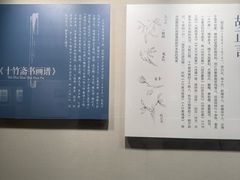 -南京书画院金陵美术馆