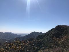 -大岭沟猕猴桃谷风景区