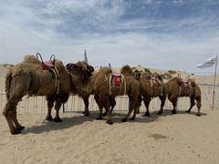 -库伦旗银沙湾旅游景区