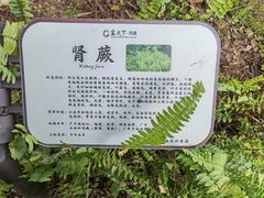 -河源客天下-温泉小镇