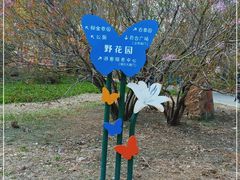 -长春公园(普阳街道)