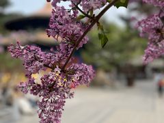 -潭柘寺景区