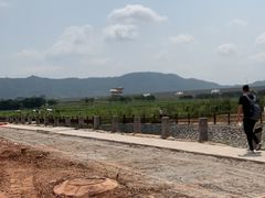 -光明小镇欢乐田园
