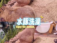 -正佳雨林生态植物园