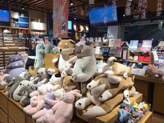 -九木杂物社(运河上街店)