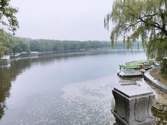 -北陵公园