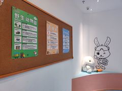 -科晓兔外教英文·数学思维·乐高编程·科学实验(怡山校区)