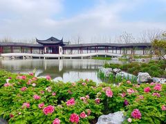 -上海滨江森林公园