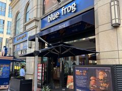 -blue frog蓝蛙(长泰广场店)