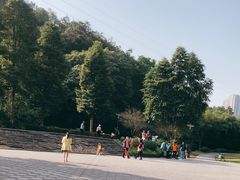 -重庆彩云湖湿地公园