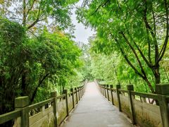 -重庆彩云湖湿地公园