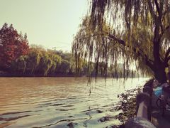 -运河游船(武林门码头)