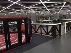 -金吉鸟健身游泳