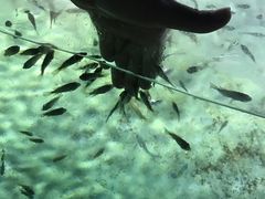 -重庆欢乐海底世界