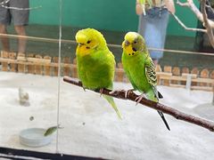 -上海大自然野生昆虫馆