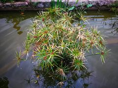 -广州市紫泥堂文化创意园景区