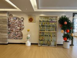 -维倪月子会所(独栋庭院·南海店)
