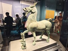 -广西壮族自治区博物馆