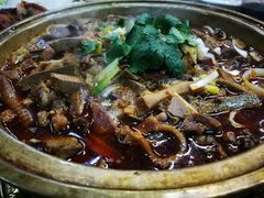 -京都饺子(双塔西街店)