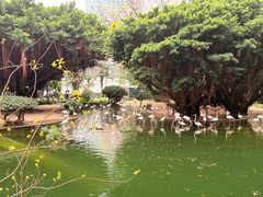-九龙公园