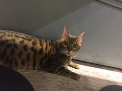 -小时光咖啡馆(开森度假森林店)