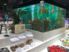 -瑞伯克牛排自助餐厅天一广场店