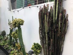 -Eckl’s爱氏热狗(猫街店)