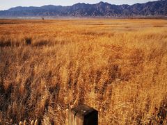 -野鸭湖国家湿地公园