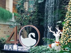 -白天鹅宾馆-宏图府餐厅