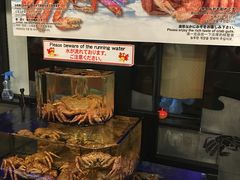 -蟹道乐(道顿堀本店)